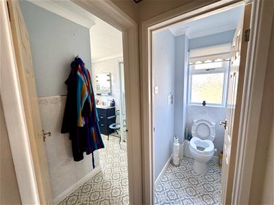 Picture 14